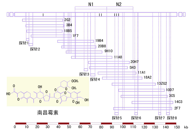 藥物生物合成