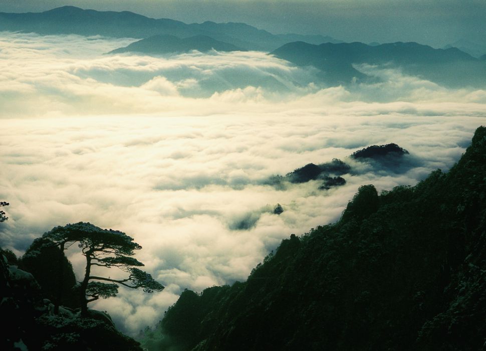 雲海松濤