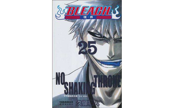 BLEACH 境·界25