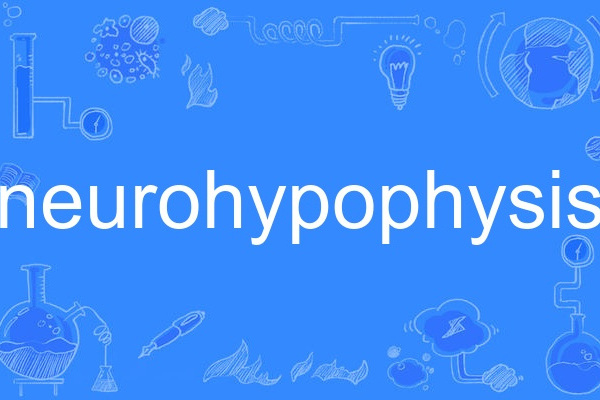 neurohypophysis