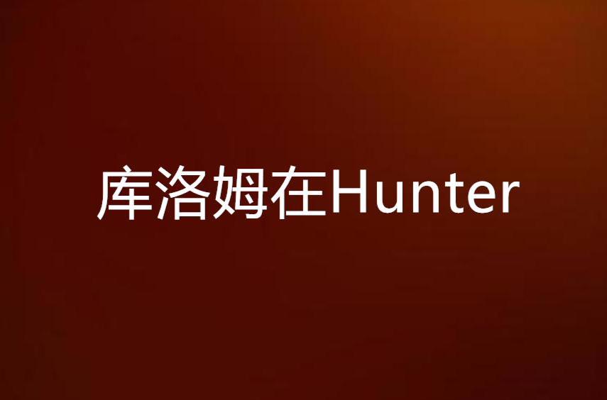 庫洛姆在Hunter