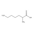 賴氨酸(lysine)