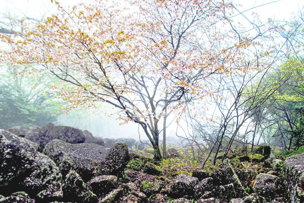 蒼山(浙江天台縣山峰)