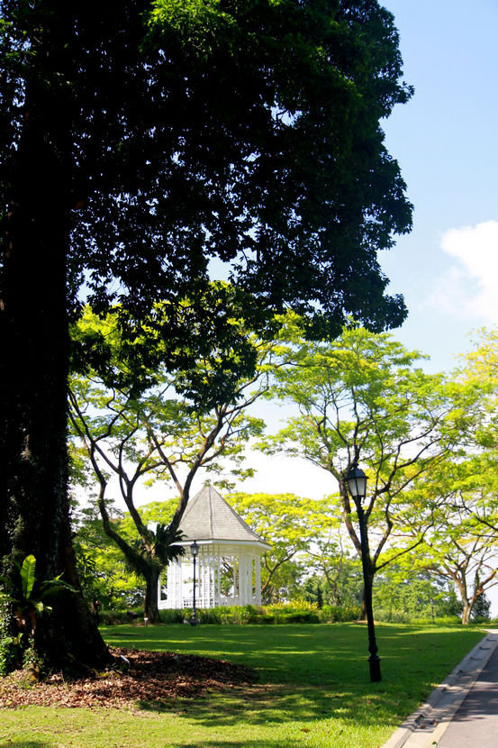 吉隆坡蘭花園