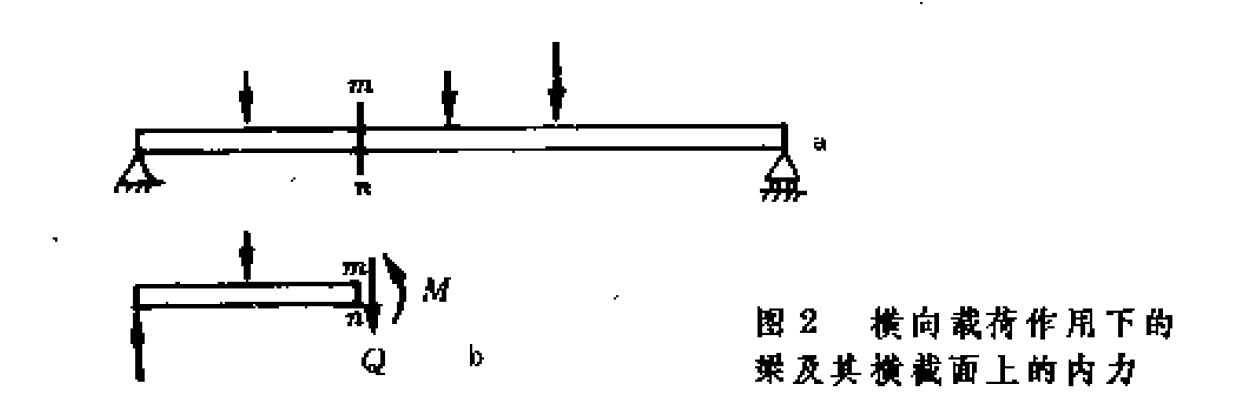 梁