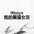 tfboys我的黑貓女友