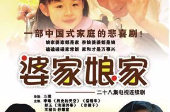 二十八集電視連續劇婆家娘家十碟裝(DVD)