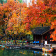 天平山風景名勝區(天平山風景區)