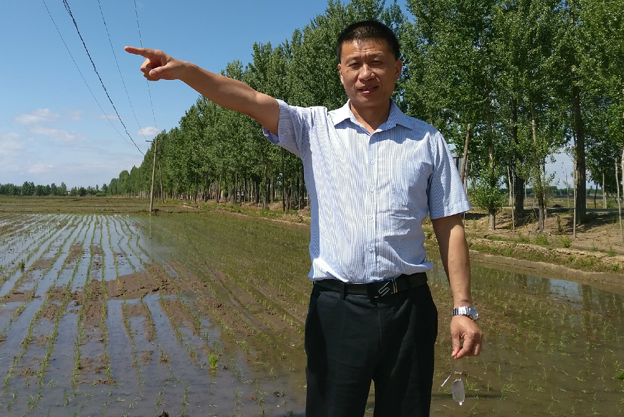 丁振華(黑龍江農墾北大荒牧業有限公司董事兼總經理)