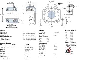 SKF