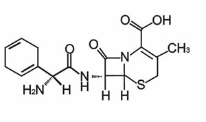 新貝兒克頭孢拉定顆粒