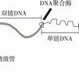 單分子技術