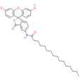 5-（N-十六烷醯）氨基螢光黃