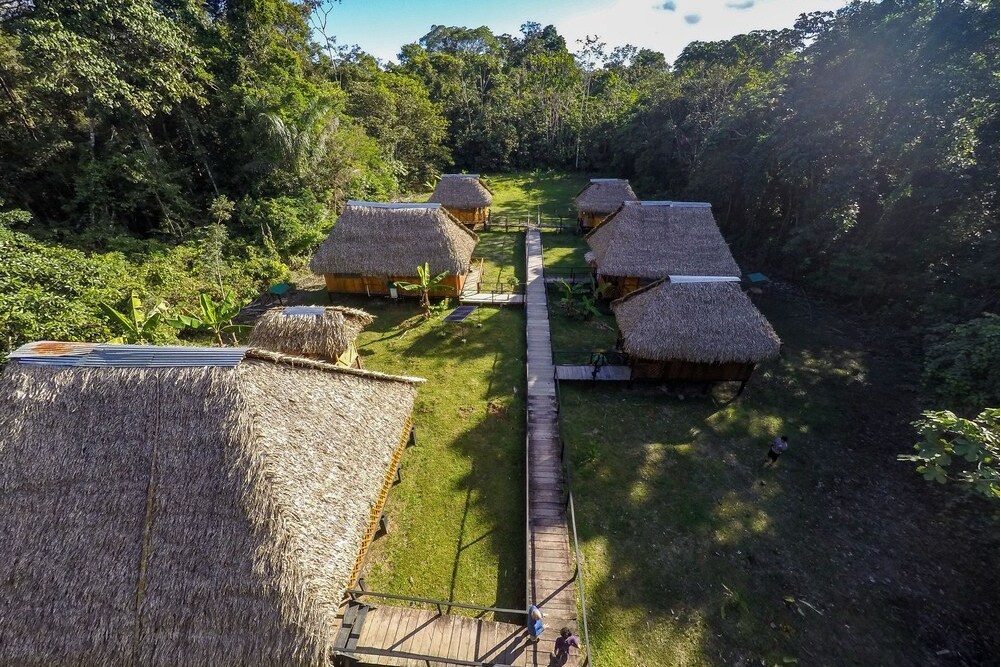 野生生態小屋旅館