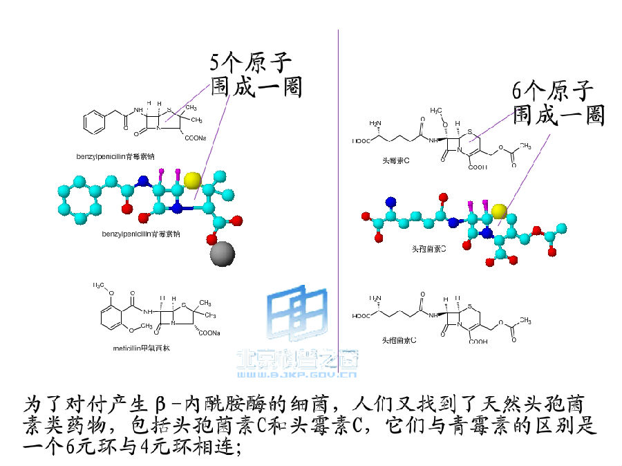 酶抑制劑