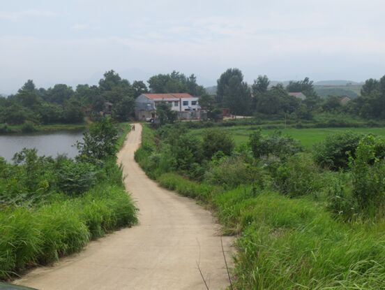 堰塘村(雲南昆明市晉寧縣六街鎮下轄村)