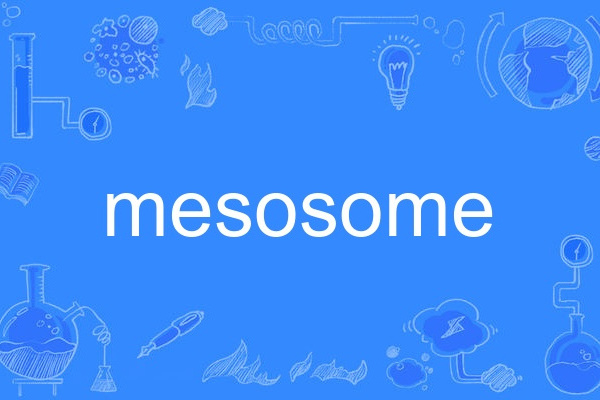 mesosome