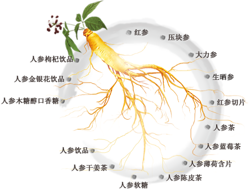 深圳市橋隆電商有限公司