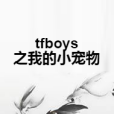 tfboys之我的小寵物