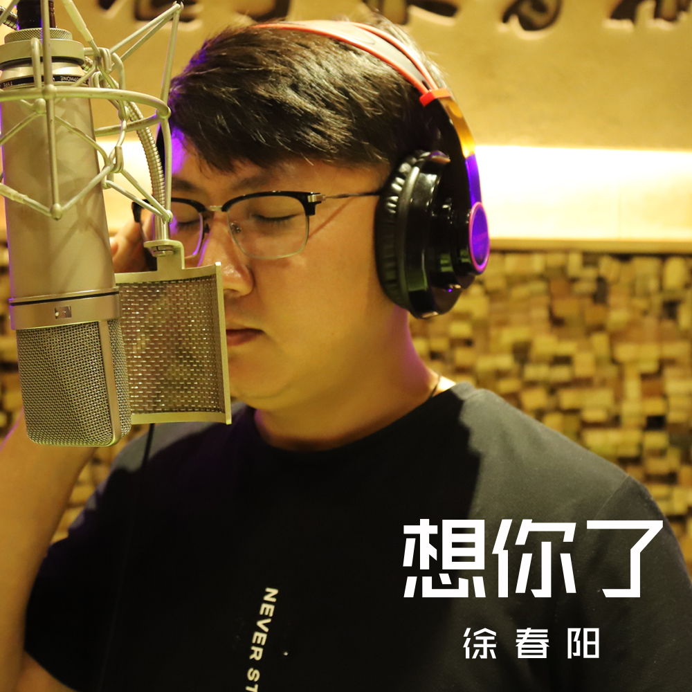 想你了(徐春陽演唱的歌曲《想你了》)