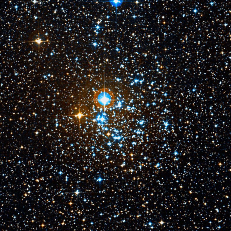 NGC 2439 DSS2 彩色圖