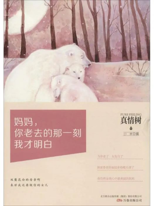 媽媽，你老去的那一刻我才明白(2014年萬卷出版社出版的圖書)