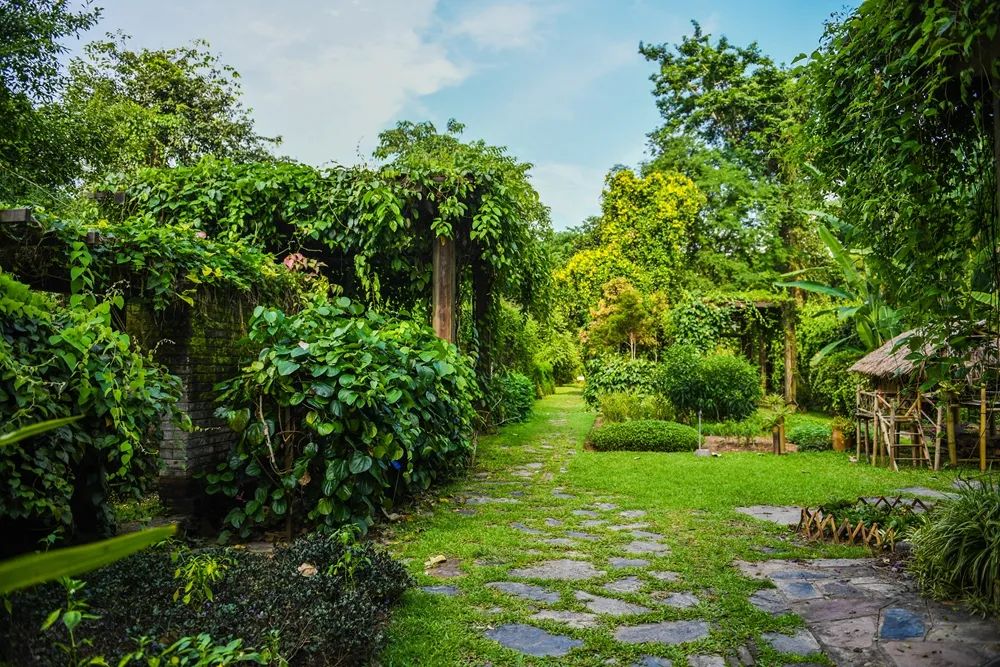 中國科學院西雙版納熱帶植物園