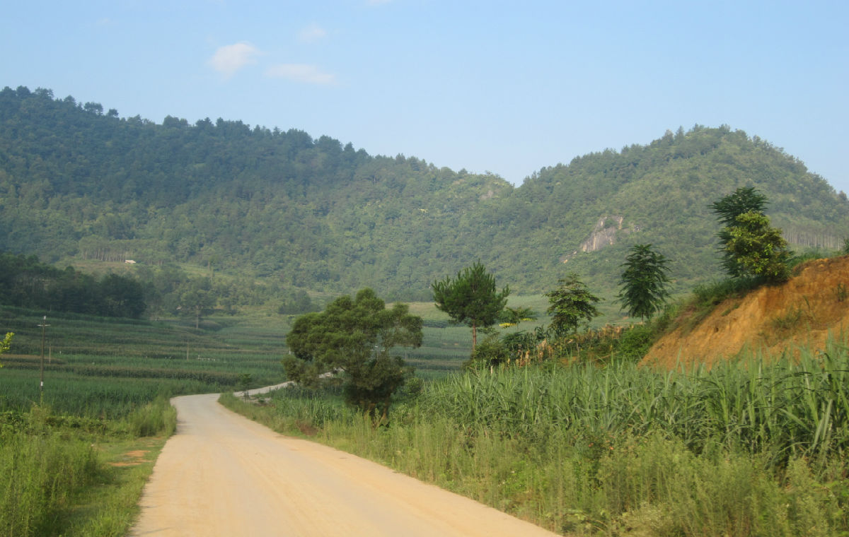 興達村鄉村道路