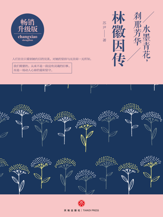 水墨青花，剎那芳華：林徽因傳