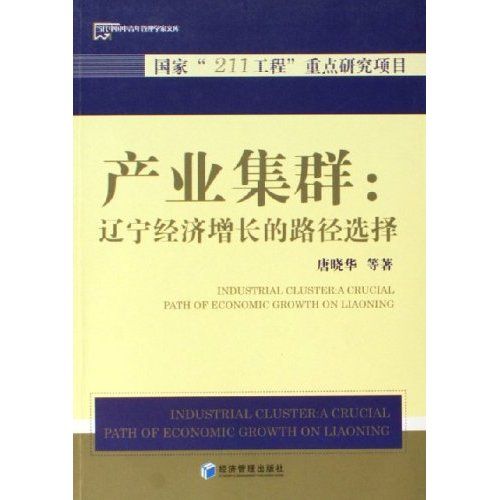 產業集群形成與發展的經濟分析