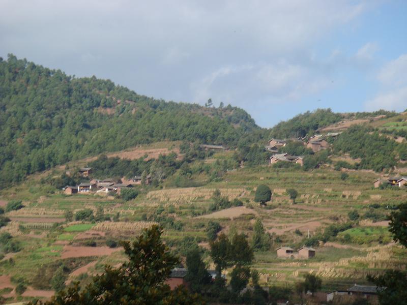 背莫康村