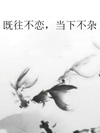 既往不戀，當下不雜