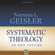 Systematic Theology(2011年Bethany House出版的圖書)