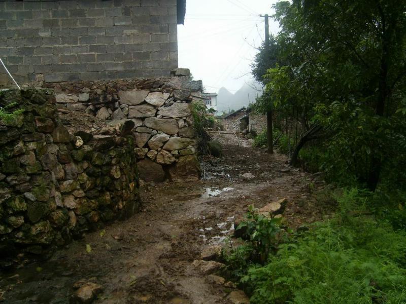 羅平縣大水井鄉箐口村委會箐門口村村內道路