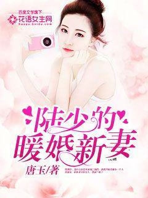 陸少的暖婚新妻(唐玉著網路小說)