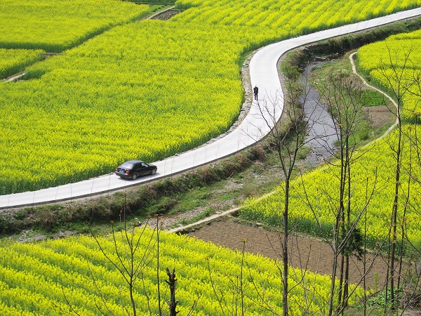 水泉坪村(陝西省安康市旬陽縣仁河口鄉下轄村)