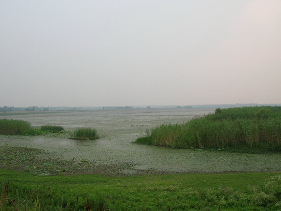 團結村大型綜合立體養殖團山水庫