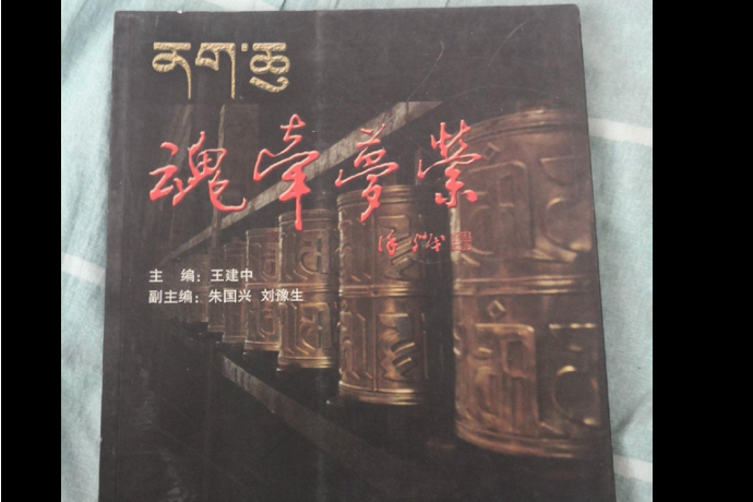 魂牽夢縈(2008年遼寧大學出版社出版的圖書)