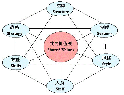 SFO模型