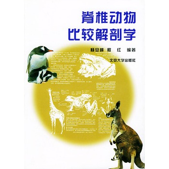 脊椎動物比較解剖學