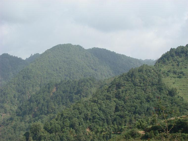 關眾山自然村