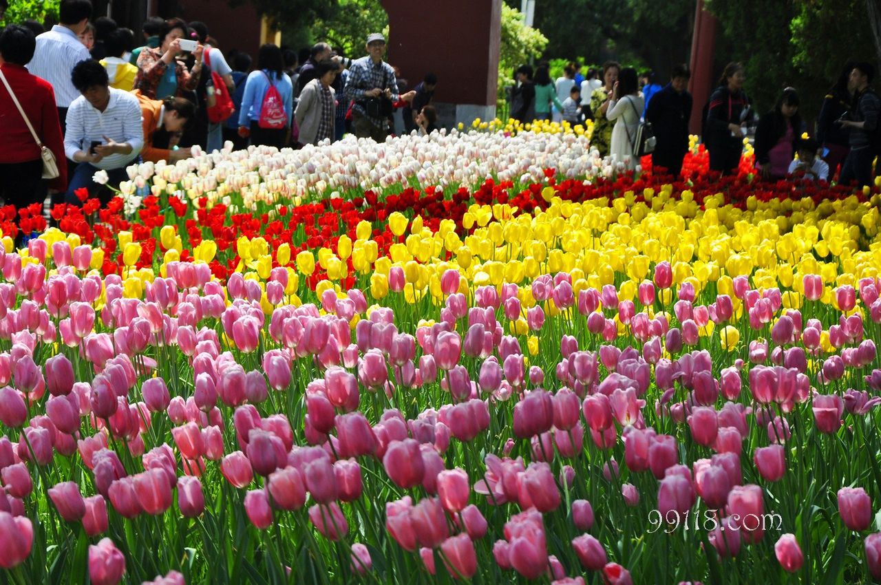 中山公園(北京市東城區中山公園)