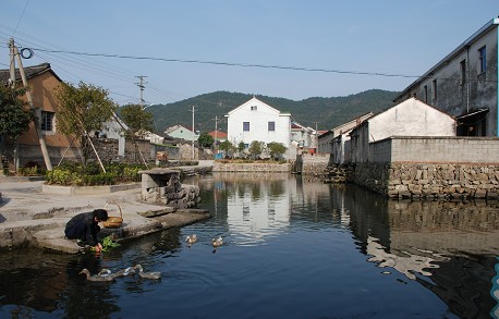 沈灣村