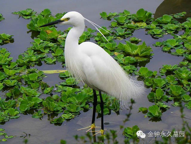 金鐘福蔭園