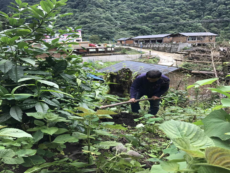 2017年馬庫村試種晚熟芒果開挖定植坑