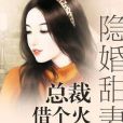 隱婚甜妻：總裁，借個火