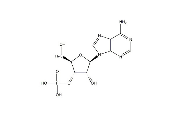 腺苷一磷酸