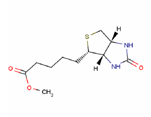 生物素甲酯