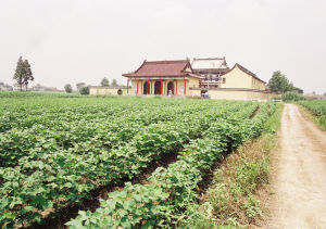 鹽城旅遊景點