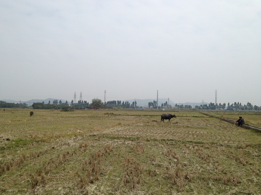 上浦村(浙江紹興市上虞區下轄村)